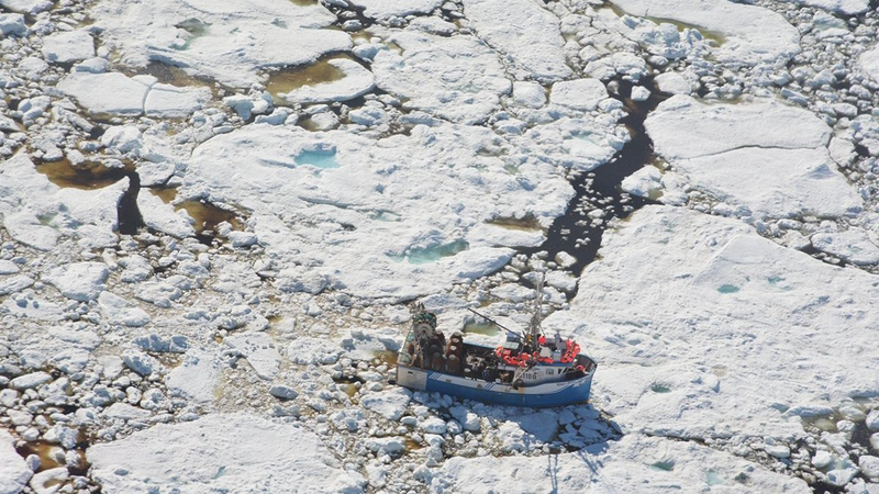 A crab fishing boat trapped in the multiyear sea ice off the Newfoundland coast.